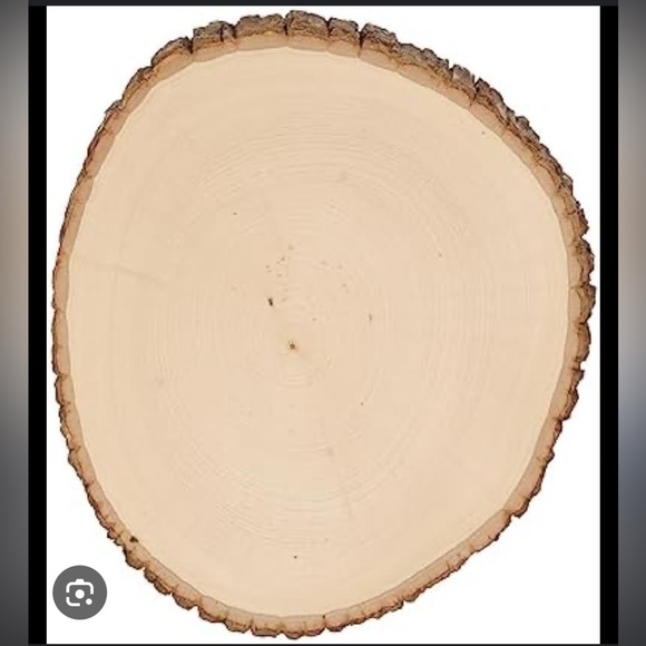 Other - Live Edge Basswood Rounds for Crafts - Chargers, Cheese Boards and more